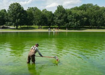 Even the Internet’s Favorite Pool Guy Doesn’t Know How to Fix the Reflecting Pool