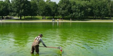 Even the Internet’s Favorite Pool Guy Doesn’t Know How to Fix the Reflecting Pool