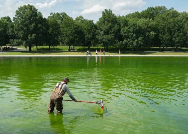 Even the Internet’s Favorite Pool Guy Doesn’t Know How to Fix the Reflecting Pool