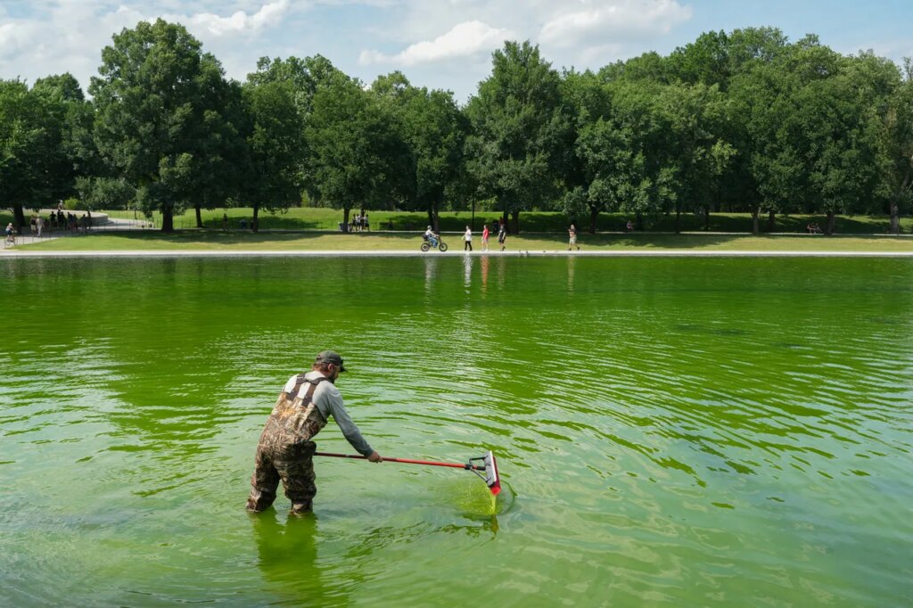 Even the Internet’s Favorite Pool Guy Doesn’t Know How to Fix the Reflecting Pool