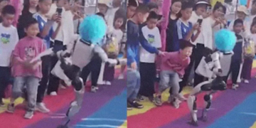 Humanoid Robot Kicks Small Child in the Stomach During Public Demonstration