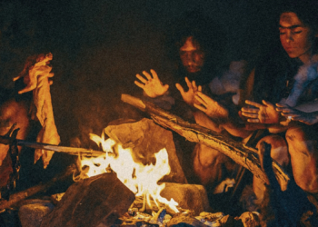 Humans May Have Been Using Fire 700,000 Years Earlier Than Scientists Thought, New Study Finds