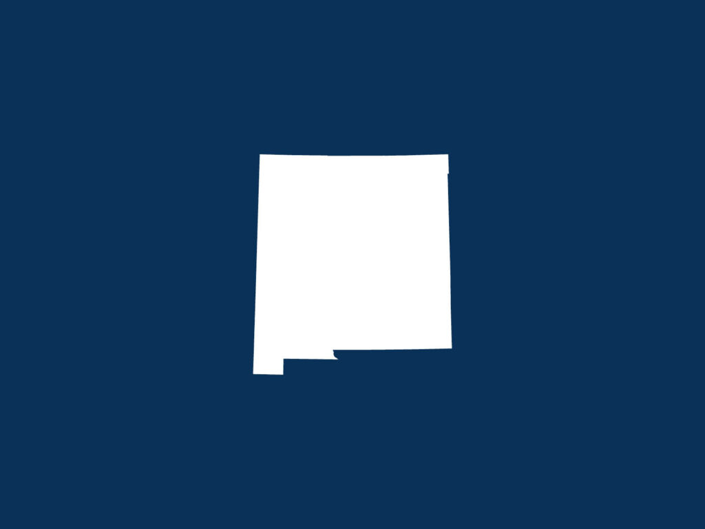 New Mexico governor primary includes Biden official Deb Haaland. See live results.