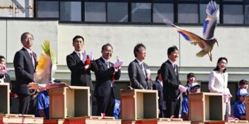 Crested Ibises Get the Royal Treatment in Japan as They Fly Again