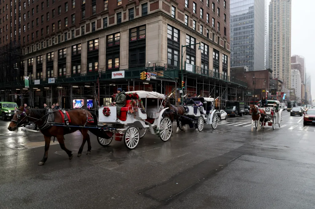 Horse-drawn carriages on a city street.