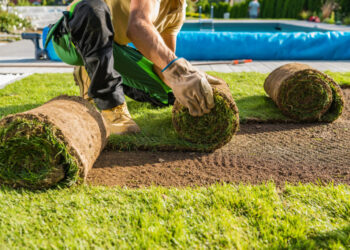 DIY or hire a pro? Here’s what to know about landscaping your yard.