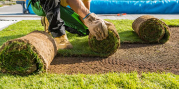 DIY or hire a pro? Here’s what to know about landscaping your yard.
