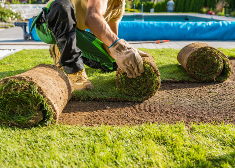DIY or hire a pro? Here’s what to know about landscaping your yard.