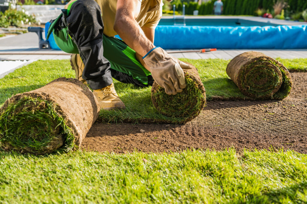DIY or hire a pro? Here’s what to know about landscaping your yard.