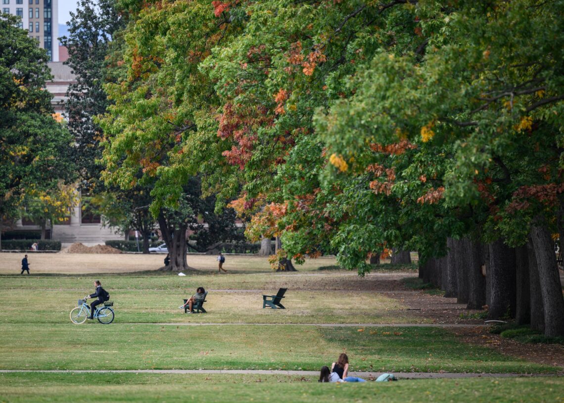 These academic disciplines risk forgetting their core task