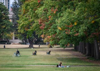 These academic disciplines risk forgetting their core task