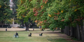 These academic disciplines risk forgetting their core task