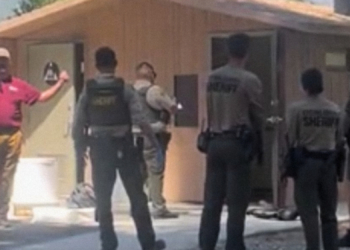 Man Rescued From Campground Toilet After Falling In While Trying to Save Sunglasses