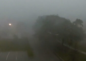 Tornadoes Are Reported in Illinois as Storms Sweep the Midwest