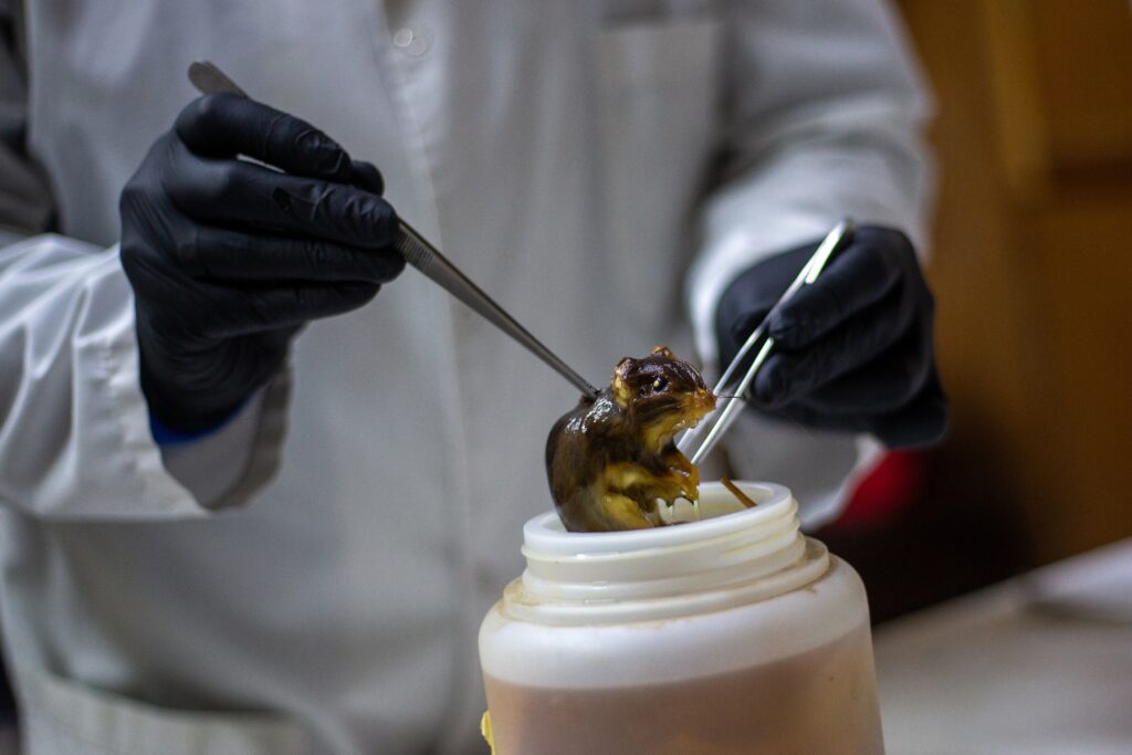How to stop the next pandemic before it begins