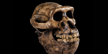 Neanderthal Babies May Have Been More Human Than We Realized, New Study Reveals
