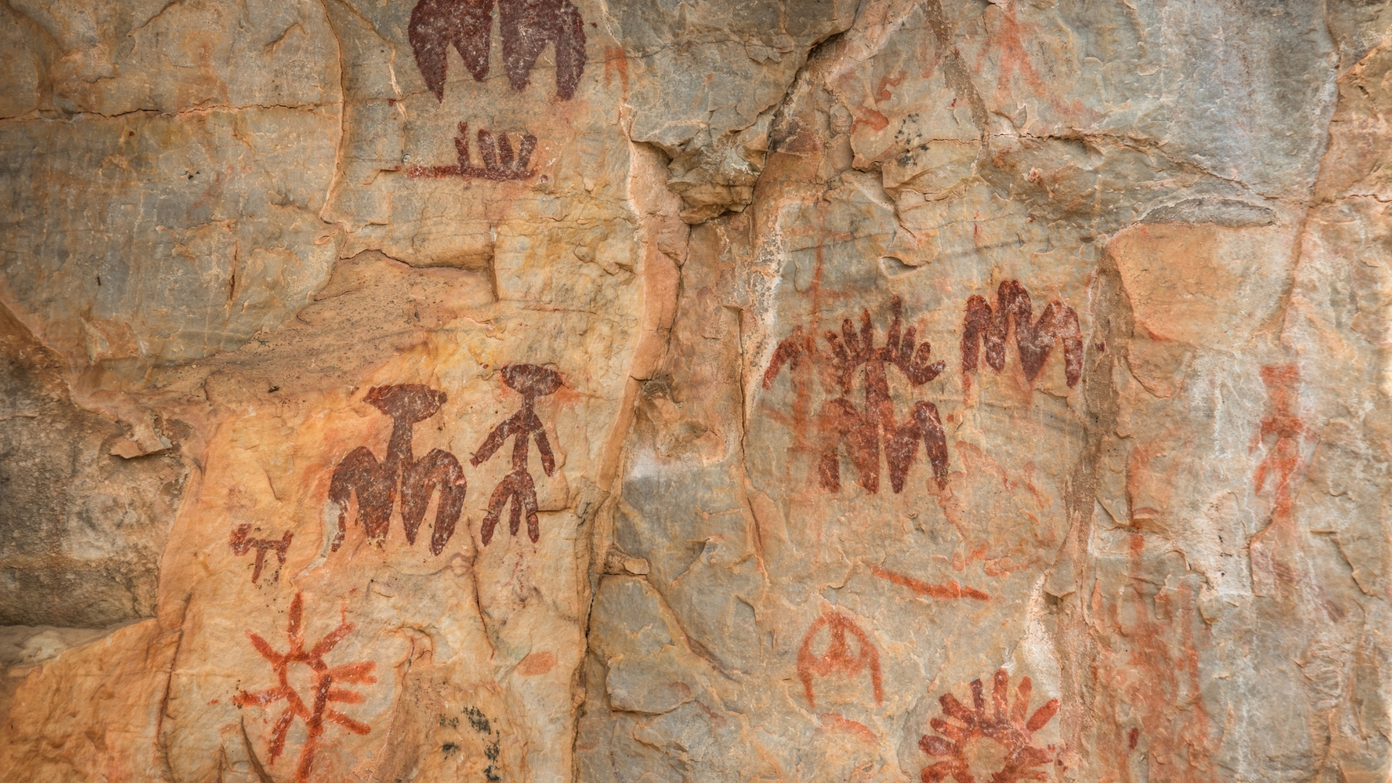 Neanderthals May Not Have Inbred Themselves Into Extinction After All, New Study Finds