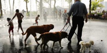 New York Is About to Feel Hotter Than Phoenix