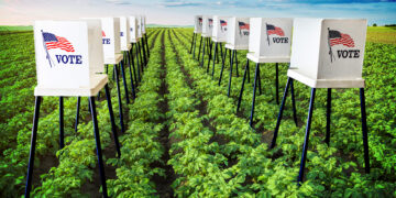 Trump betrayed farmers. Now real signs of anger show.