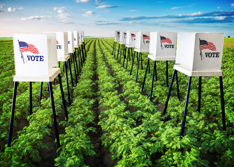 Trump betrayed farmers. Now real signs of anger show.