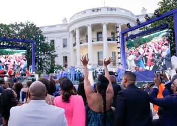 What a 150-year-old oak teaches about Juneteenth
