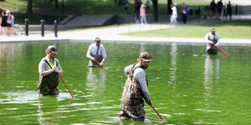Why the Reflecting Pool Is Full of Algae After Trump’s Renovation