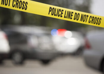 Police say they’re searching for 8 pit bull puppies stolen during a burglary