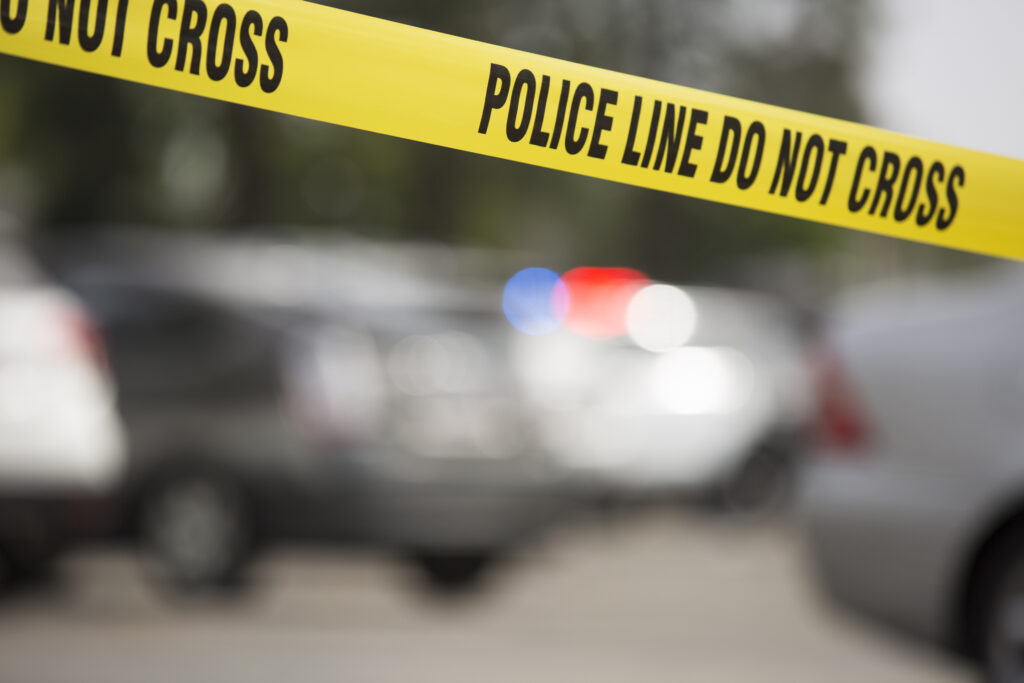 Police say they’re searching for 8 pit bull puppies stolen during a burglary