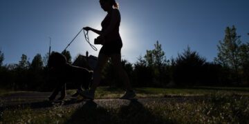 Americans spent $158 billion on pets. Now they’re fighting for custody.