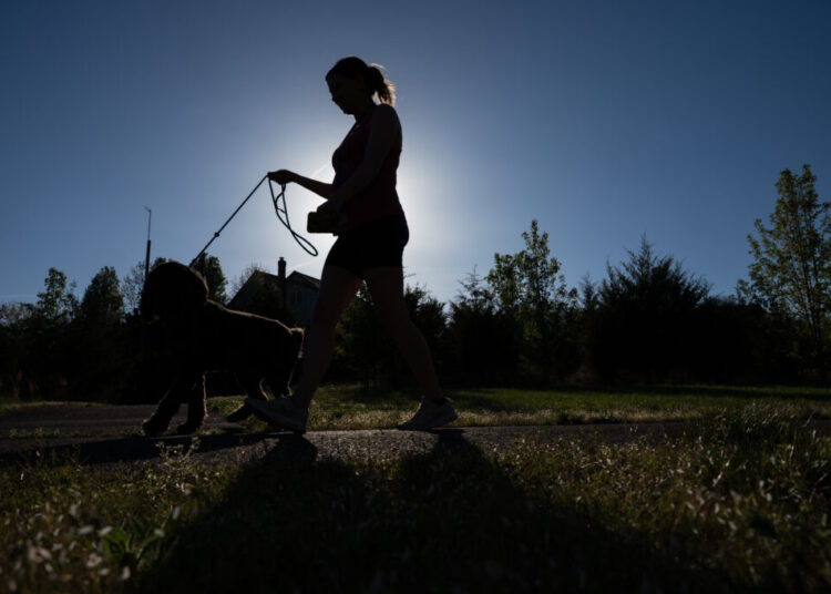 Americans spent $158 billion on pets. Now they’re fighting for custody.