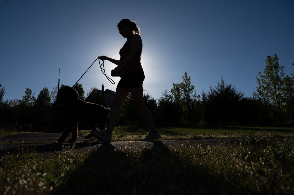 Americans spent $158 billion on pets. Now they’re fighting for custody.