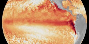 Is It a Super El Niño Year? It Could Turn the World’s Weather Upside Down