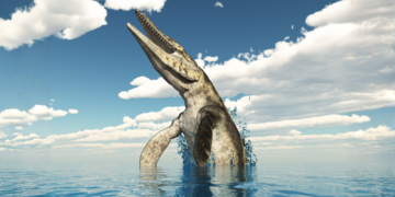 Scientists Identified a ‘T. Rex of the Ocean’ That Was Hiding in Museum Collections for Decades