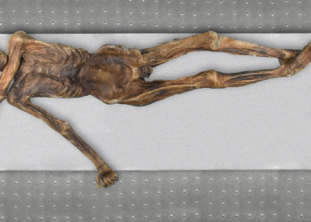 Scientists Just Discovered Something Still Alive Inside Ötzi the Iceman 5,300 Years Later