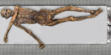 Scientists Just Discovered Something Still Alive Inside Ötzi the Iceman 5,300 Years Later