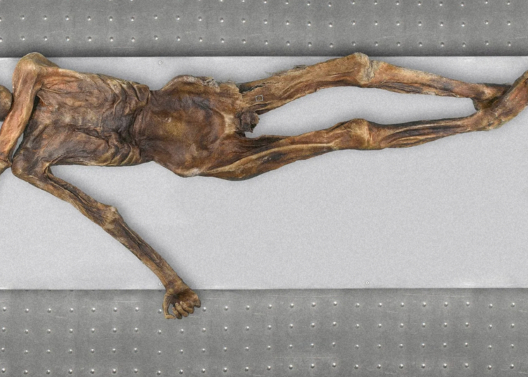 Scientists Just Discovered Something Still Alive Inside Ötzi the Iceman 5,300 Years Later