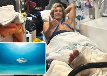 Surfer escapes death in jaws of Aussie shark — and says he used a simple trick to survive