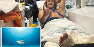 Surfer escapes death in jaws of Aussie shark — and says he used a simple trick to survive