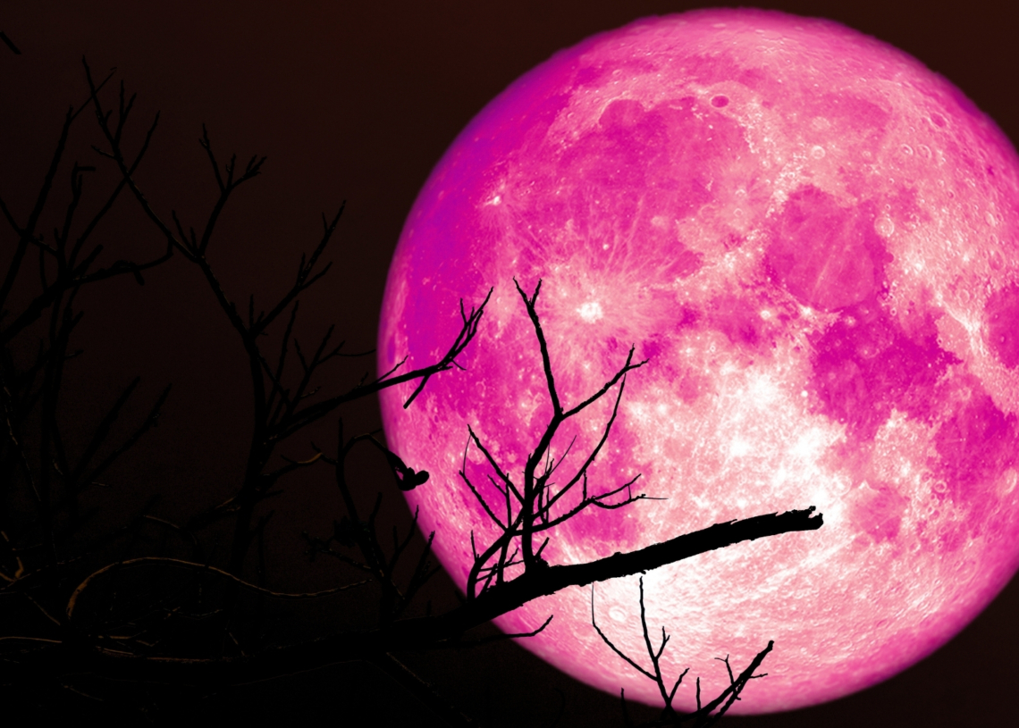 The ‘Strawberry Moon’ Returns Next Week. Here’s What It Means for Your Zodiac Sign.