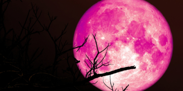 The ‘Strawberry Moon’ Returns Next Week. Here’s What It Means for Your Zodiac Sign.