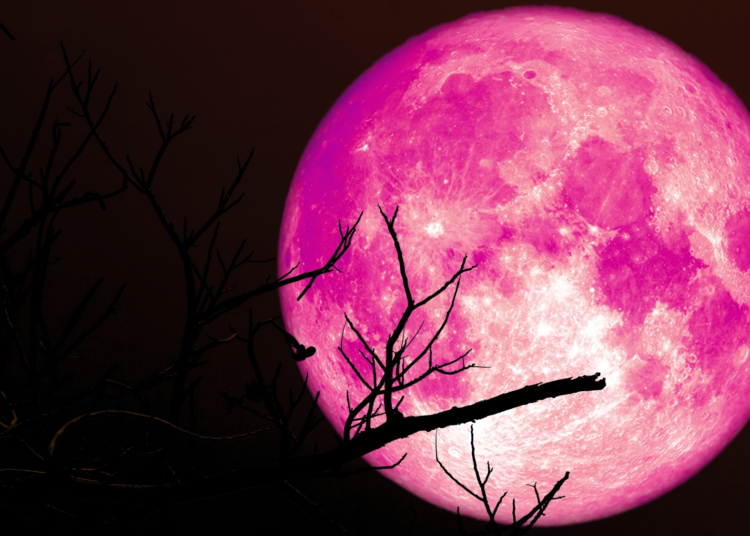 The ‘Strawberry Moon’ Returns Next Week. Here’s What It Means for Your Zodiac Sign.