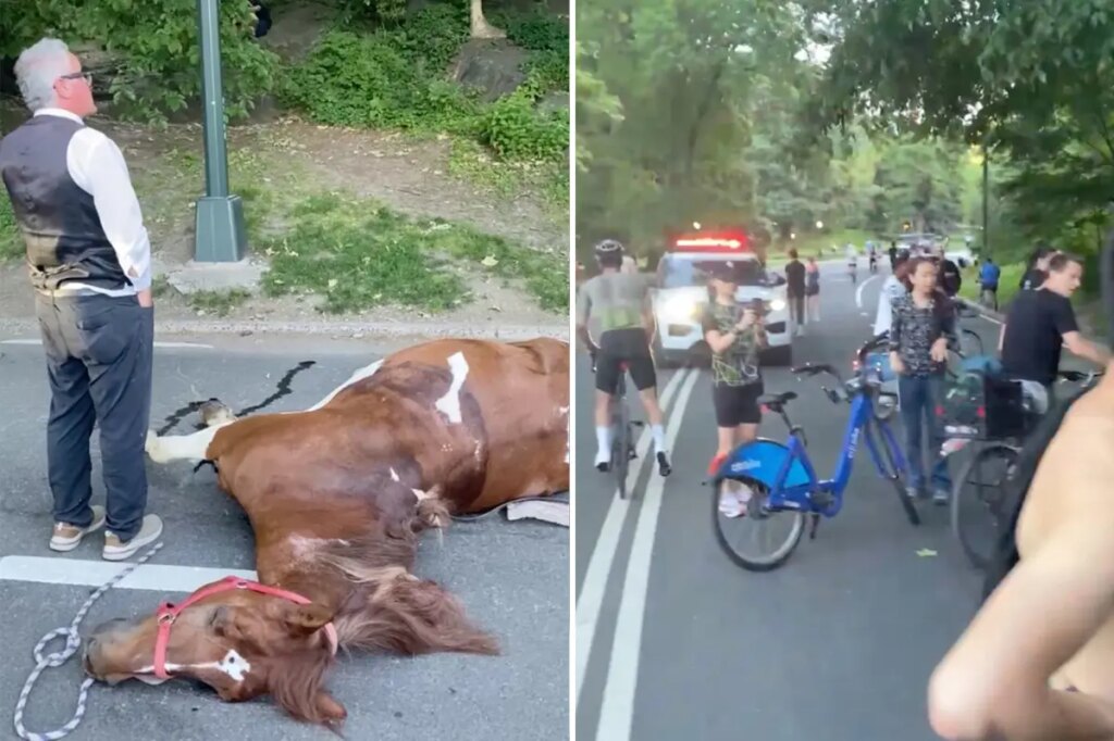 NYC carriage horse ate ‘lethal’ amount of toxic plant in Central Park before dying, report finds 