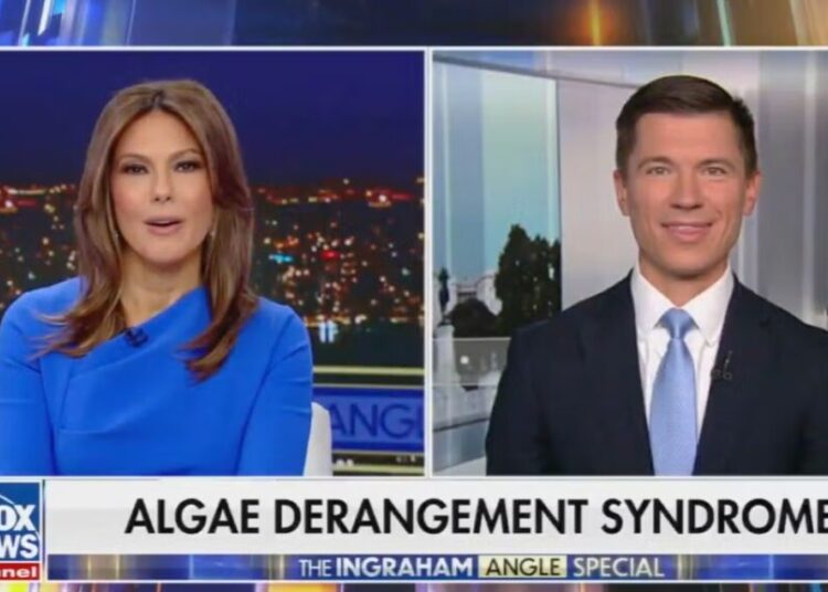 Fox News Torched Over Blaming ‘Algae Derangement Syndrome’ for Reflecting Pool Furor: ‘We Are Obsessed With It?’