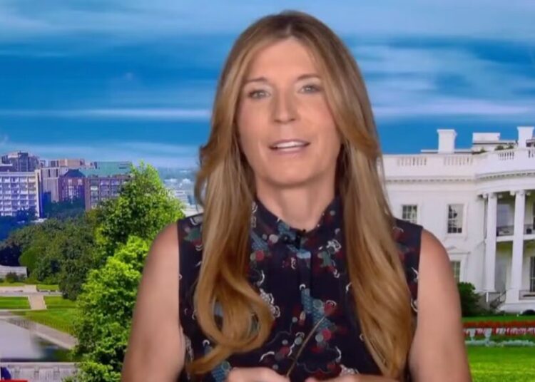 Nicolle Wallace Cracks Up On-Air Over Trump’s Great American State Fair Meltdown: ‘I Can’t Believe I’m Reading This’