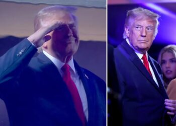 Trump salutes MSG crowd during national anthem of Knicks Game 3 — but some fans boo
