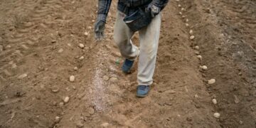 The global food supply is overly reliant on this one choke point
