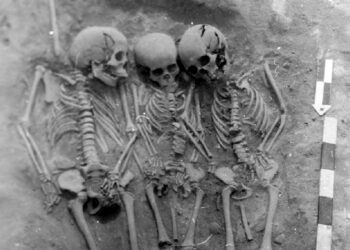 Ancient graves held a grim mystery. DNA revealed the oldest known plague outbreaks.