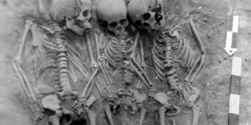 Ancient graves held a grim mystery. DNA revealed the oldest known plague outbreaks.