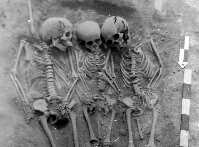 Ancient graves held a grim mystery. DNA revealed the oldest known plague outbreaks.