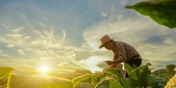Ex-Trump aide says president ‘punched farmers in the mouth’ and GOP should be worried